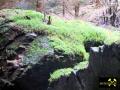 Diabasbombentuff-Felsen am Alten Schloss und im Tal der Sächsischen Saale bei Köditz nahe Hof, Oberfranken, Bayern, (D) (19) 04. Oktober 2014.JPG